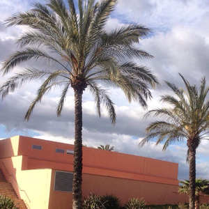 俄罗斯做爰露性器20部
