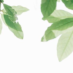 俄罗斯做爰露性器20部
