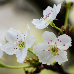 俄罗斯做爰露性器20部
